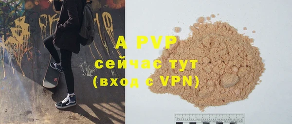 индика Балахна