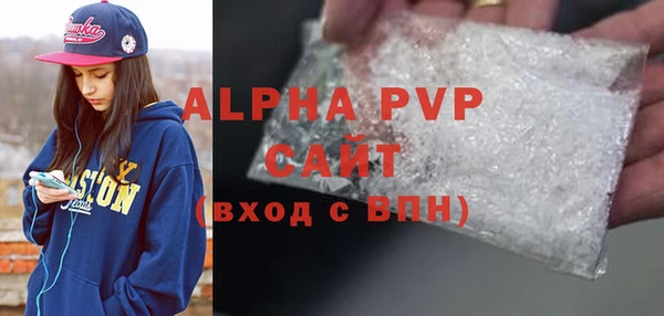 индика Балахна