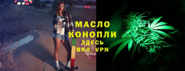 индика Балахна