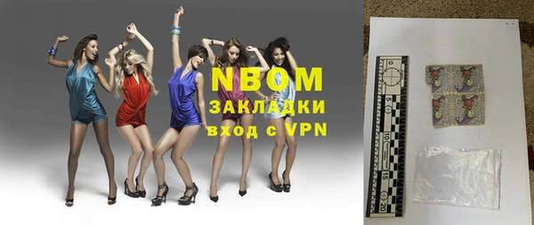 индика Балахна