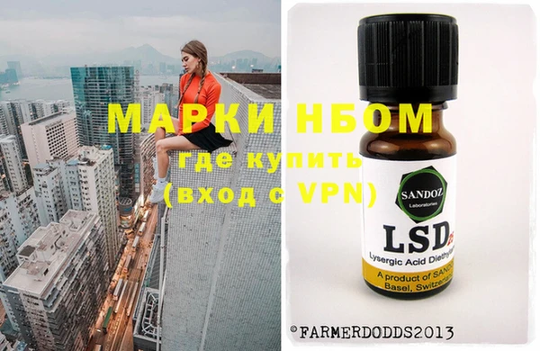 индика Балахна