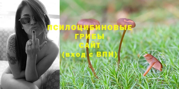 индика Балахна